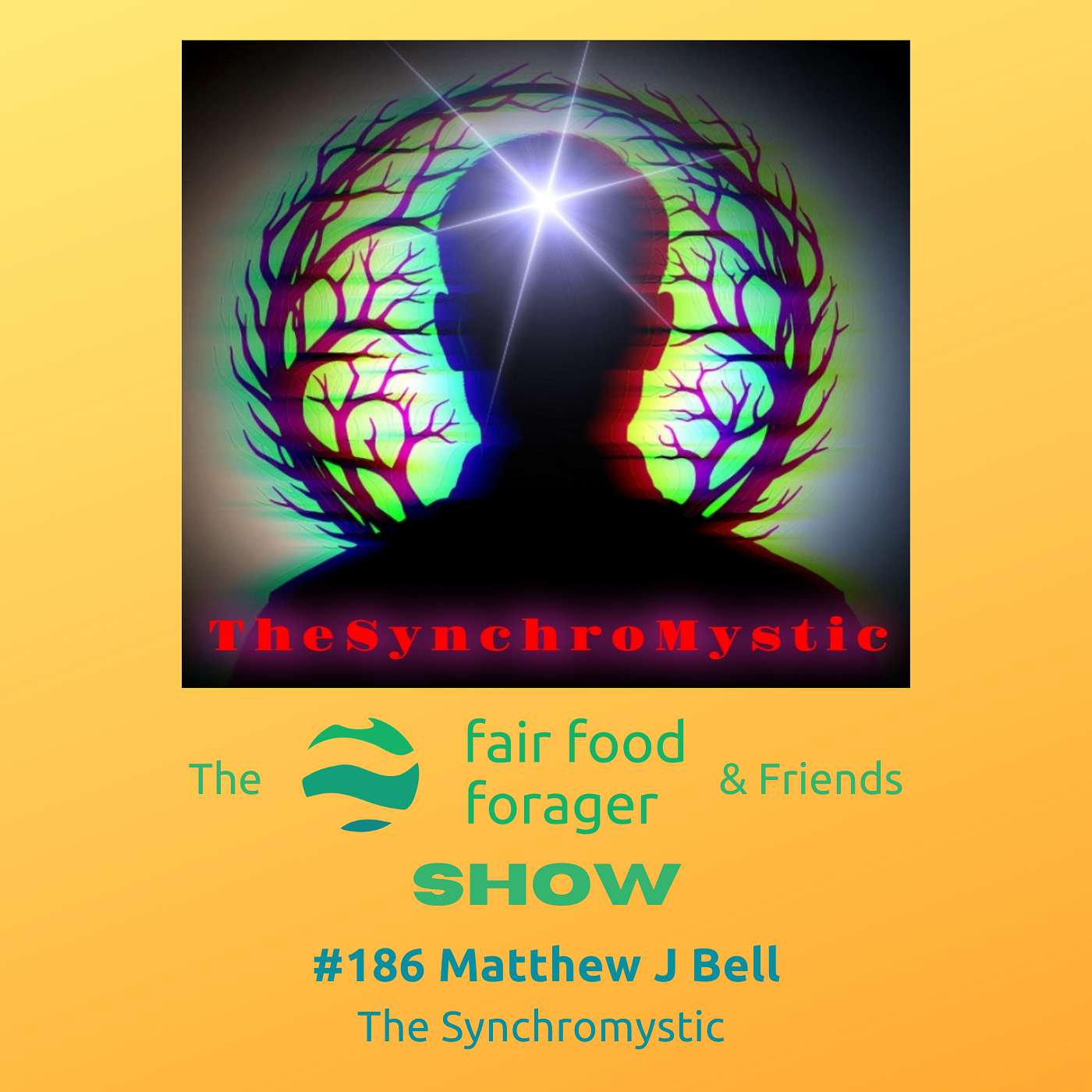 #186 Matthew J Bell - SynchroMysticism, sophisticated occult ritual or chance & how to explain it