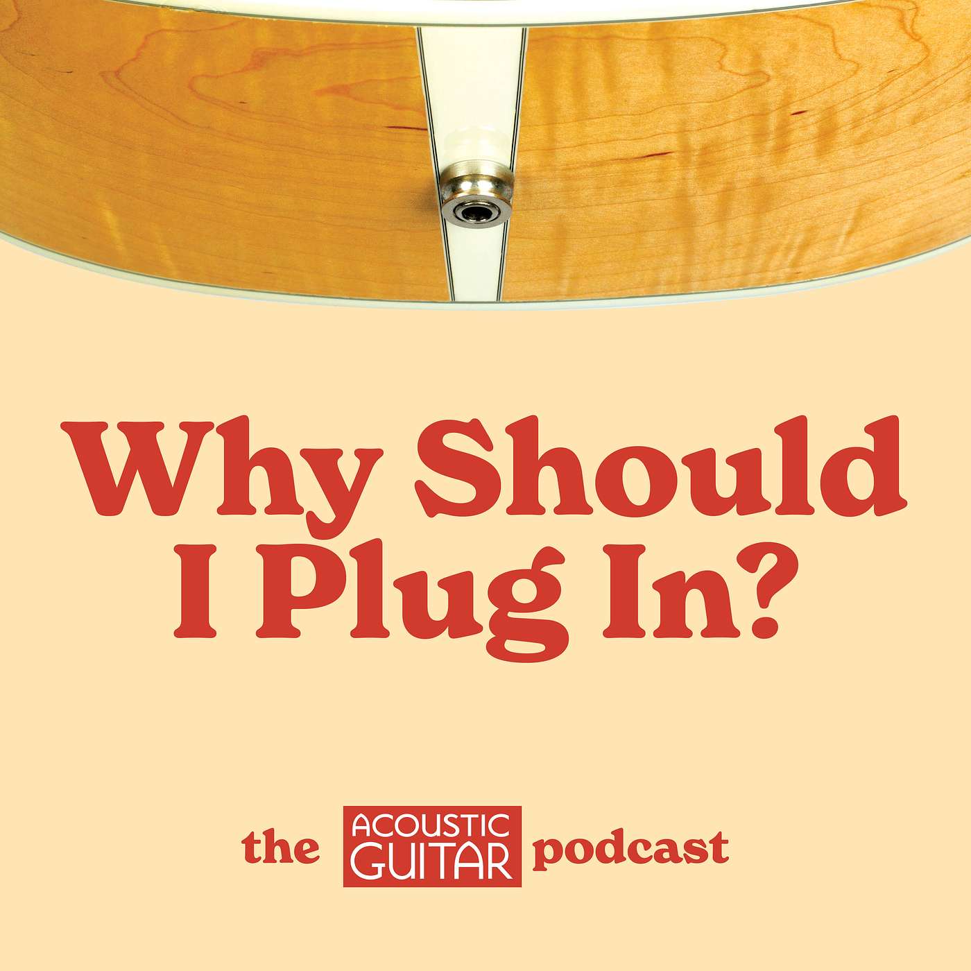 Why Should I Plug In?