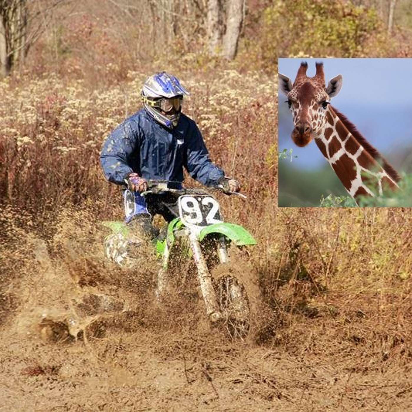 Bart Lucas and the Motocross Giraffes