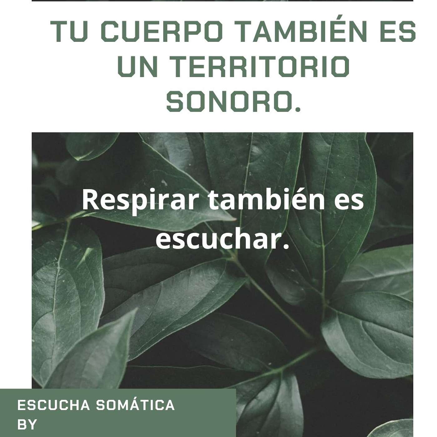 Escucha Somatica