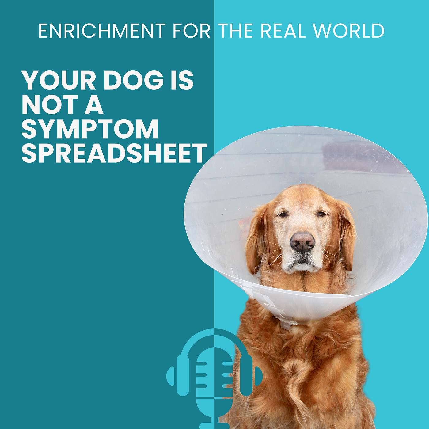 #166 - Your Dog is Not Symptom Spreadsheet