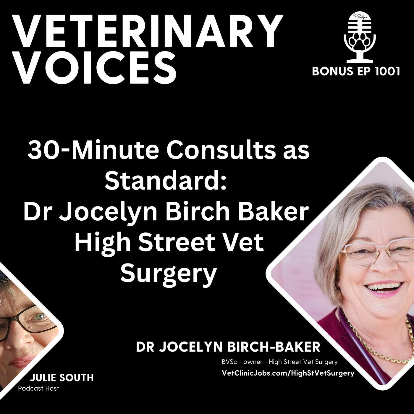 30-Minute Consults as Standard: Dr Jocelyn Birch Baker - High Street Vet Surgery - ep.1001