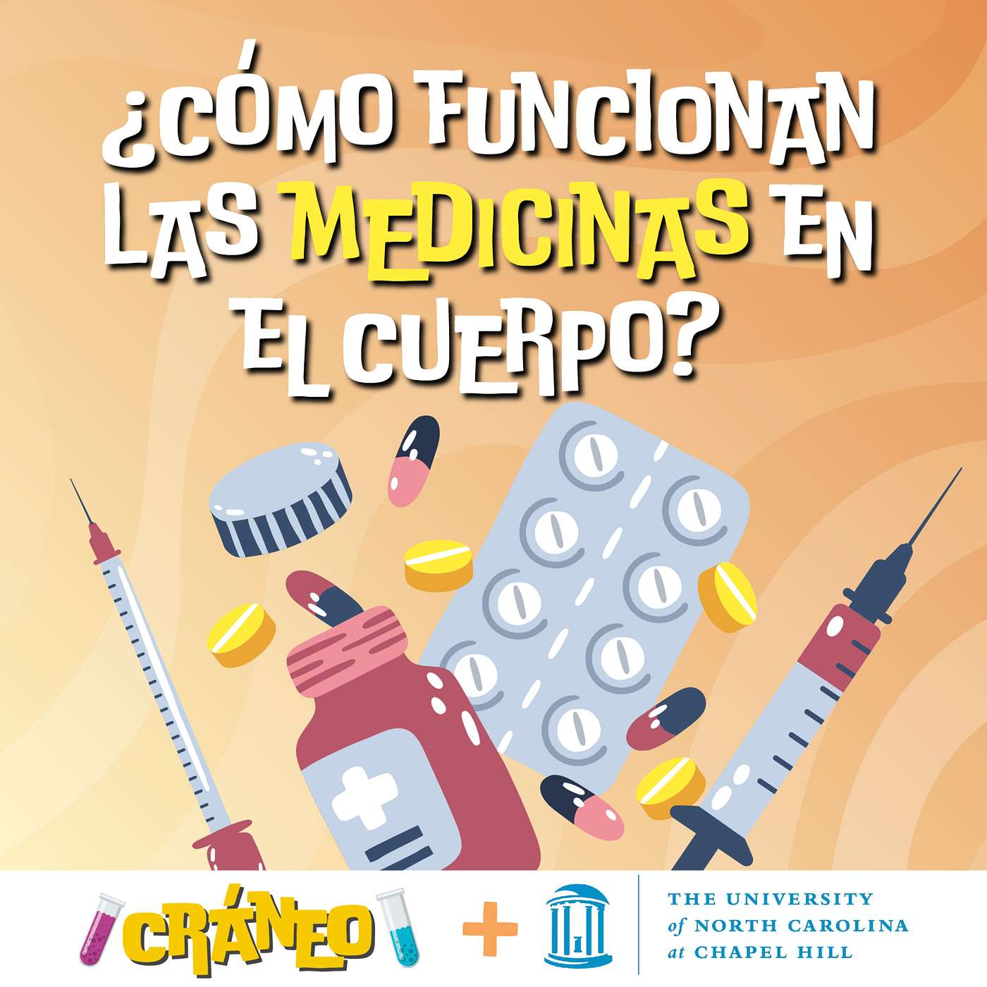 ¿Cómo funcionan las medicinas en el cuerpo?