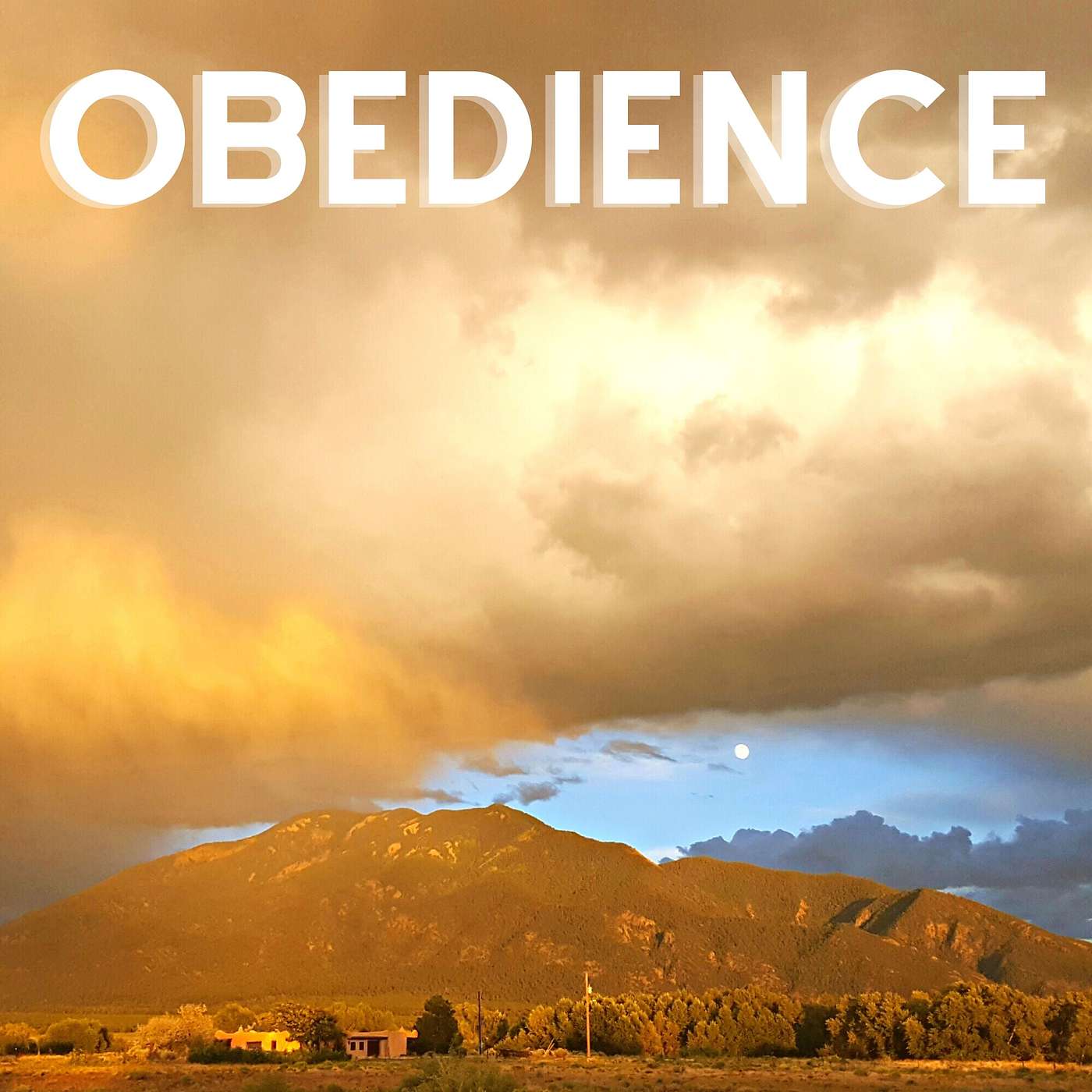 Obedience episode artwork