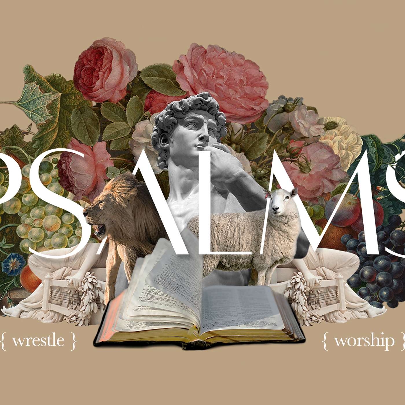 Psalm 19: Behold the Glory episode artwork