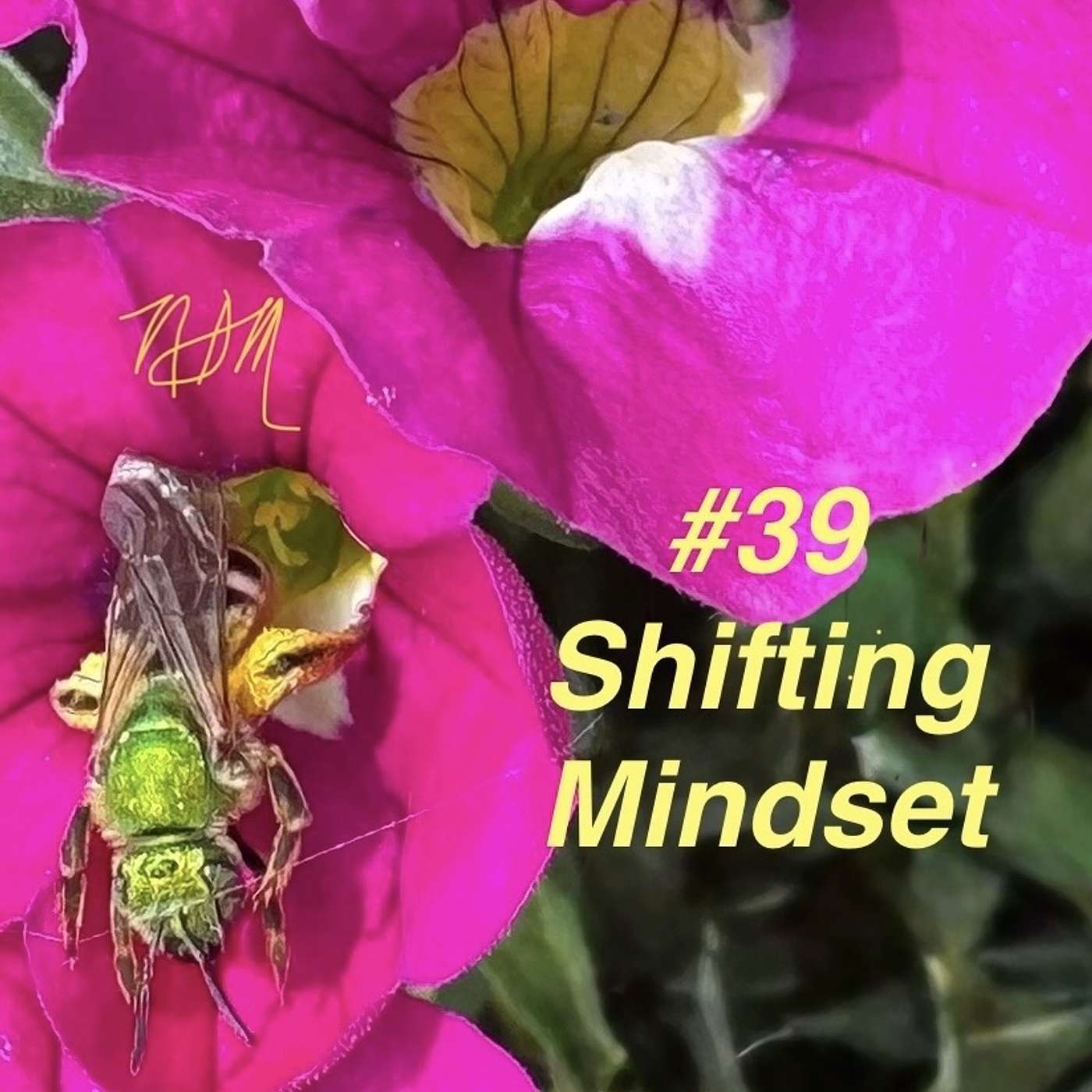 #39 Shifting Mindset: Curiosity & Compassion