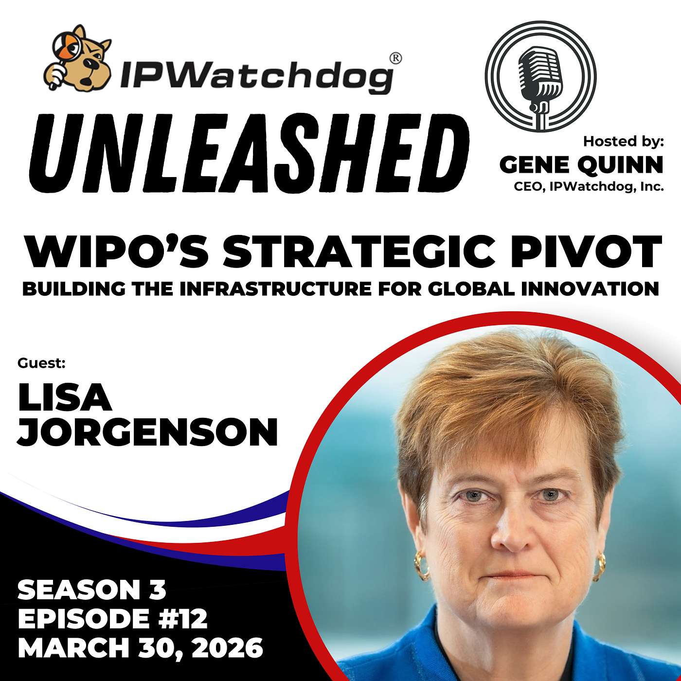 WIPO in Focus: Beyond Treaties, Toward a Market-Driven IP System
