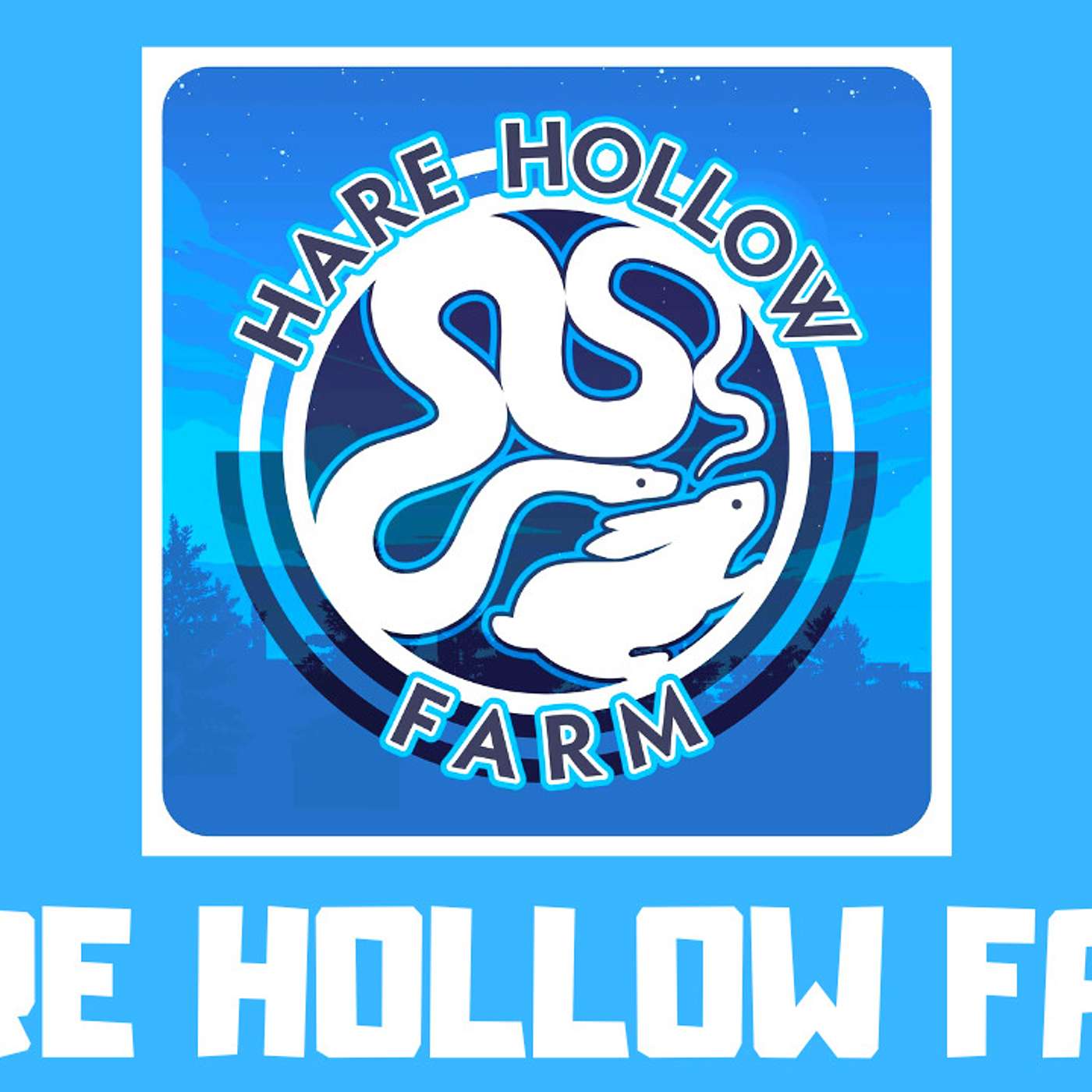 #202 JESSICA HARE OF HARE HOLLOW FARM | BOAS | BALL PYTHONS | COLUBRIDS | NIDO VIRUS AWARENESS