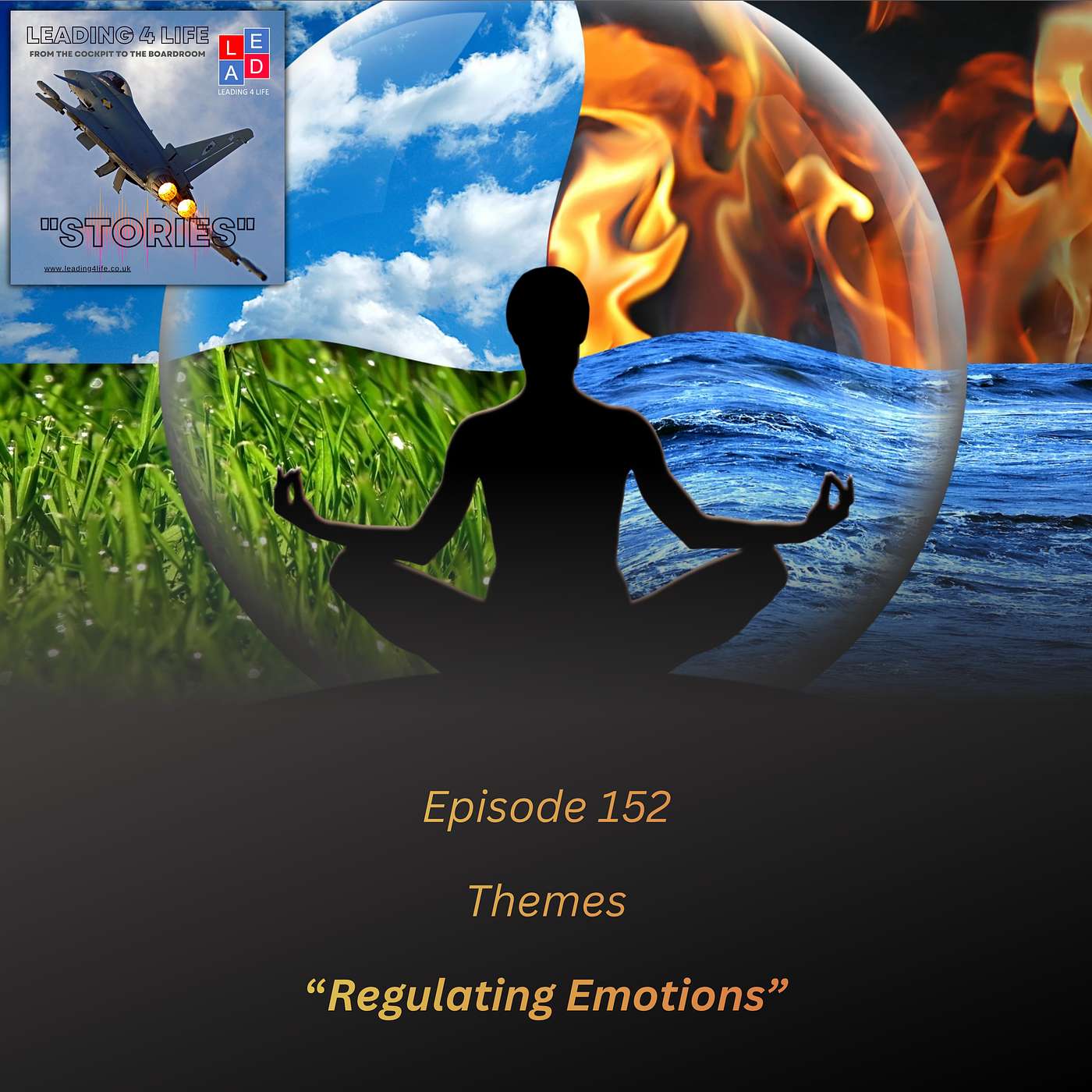 E152 - Themes: Regulating Emotions episode artwork