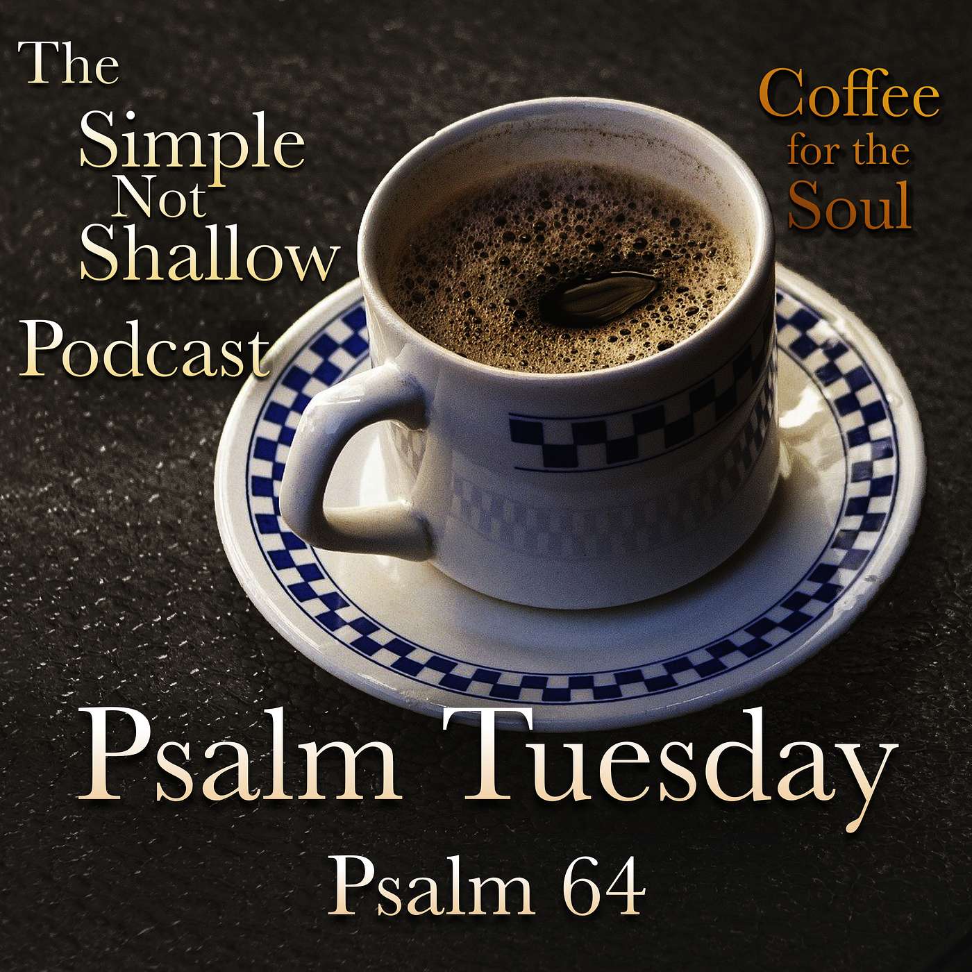 The Simple Not Shallow Podcast
