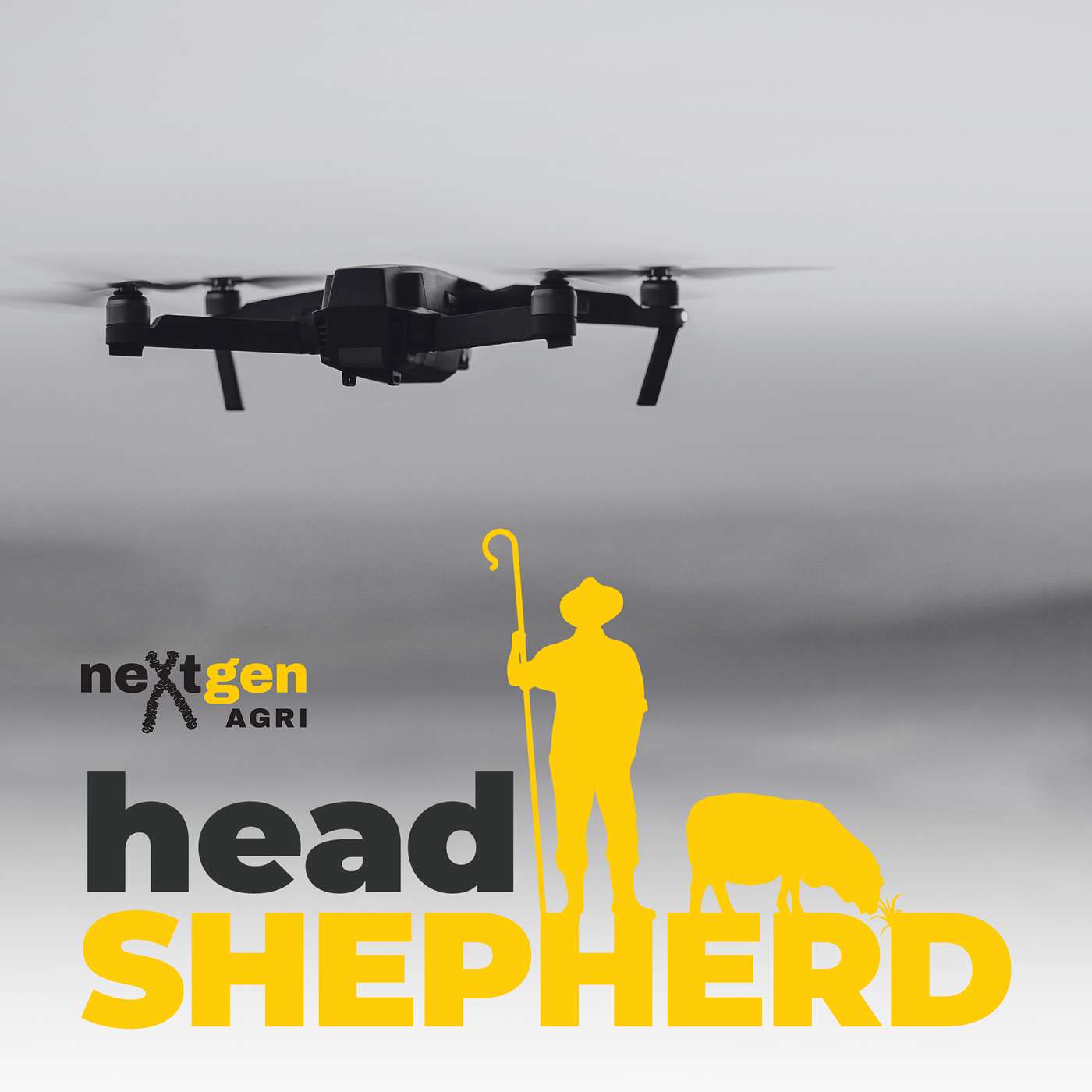 Using Drone Technology in Ag with SkyKelpie