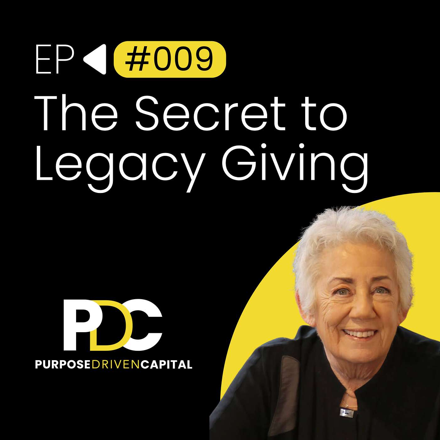 Strategic Philanthropy and the Future of Family Legacy | Susan Winer episode artwork