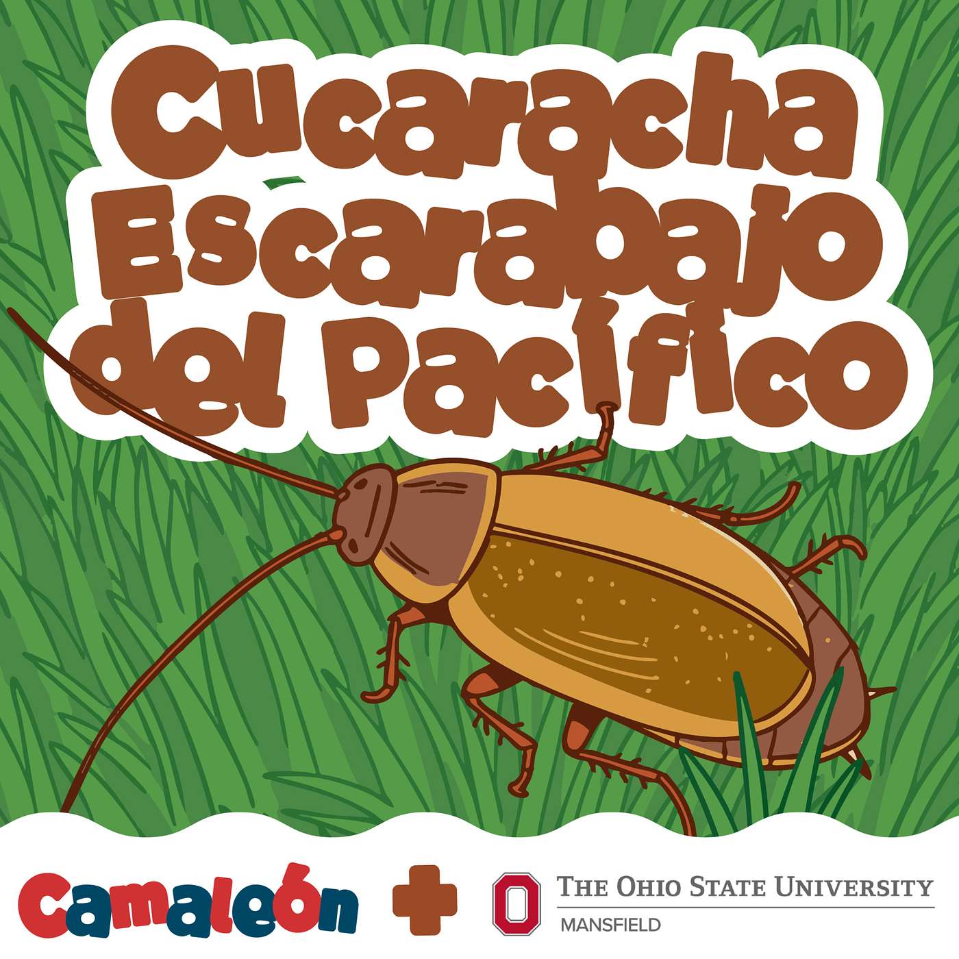 Cucaracha del Pacífico: la que queda embarazada episode artwork