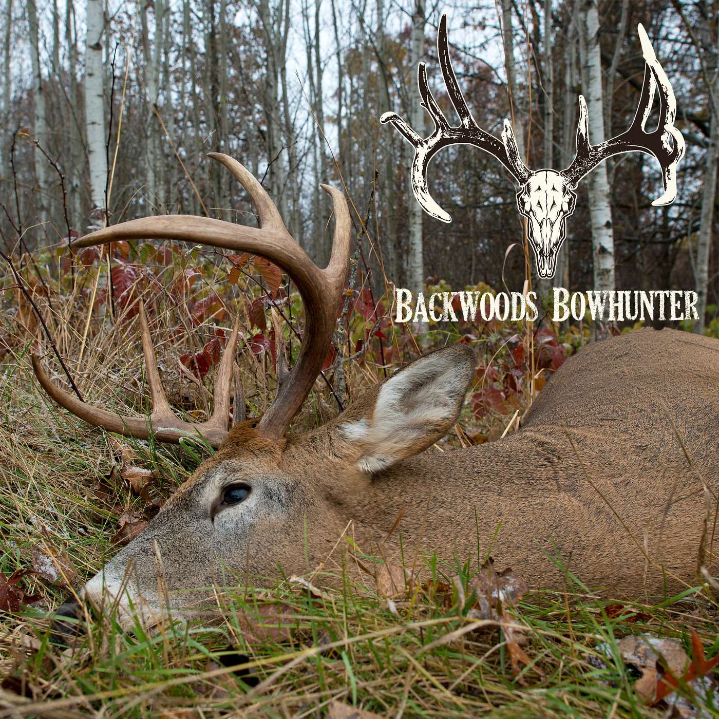 Ep 89 / Morning vs Evening Hunt Pros & Cons / All Day Sits During the Rut episode artwork