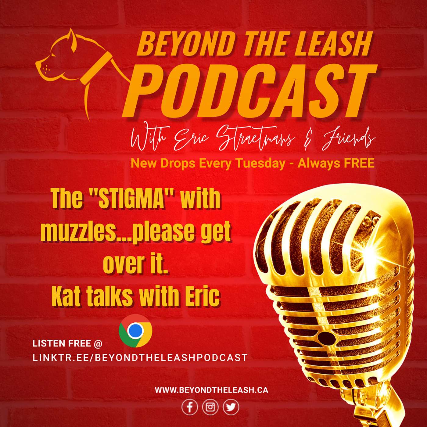 Beyond The Leash