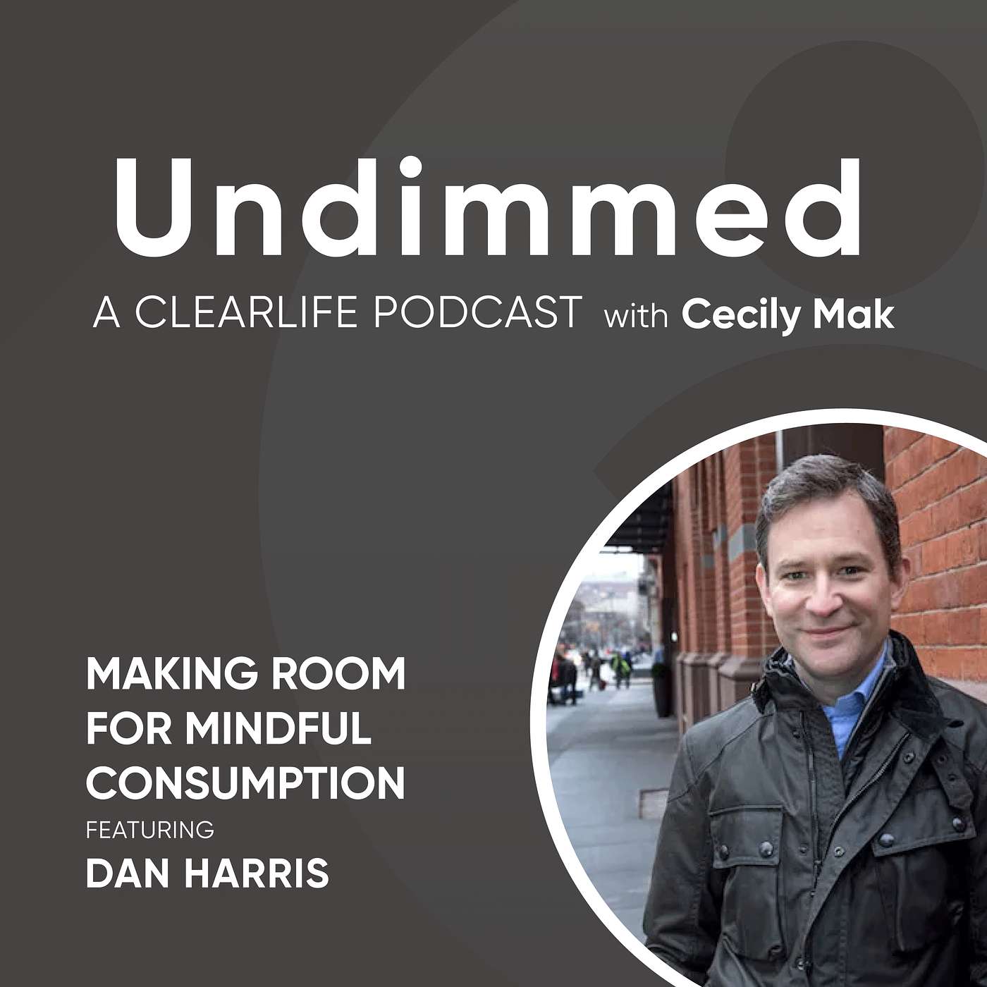 Making Room for Mindful Consumption with Dan Harris