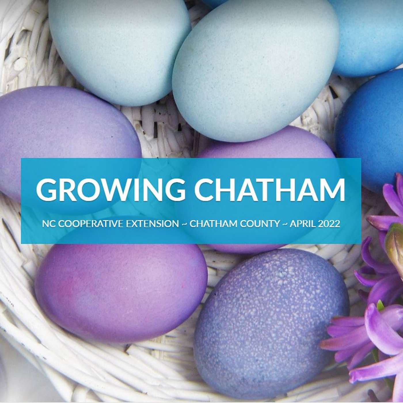 Growing Chatham April 2022 Edition