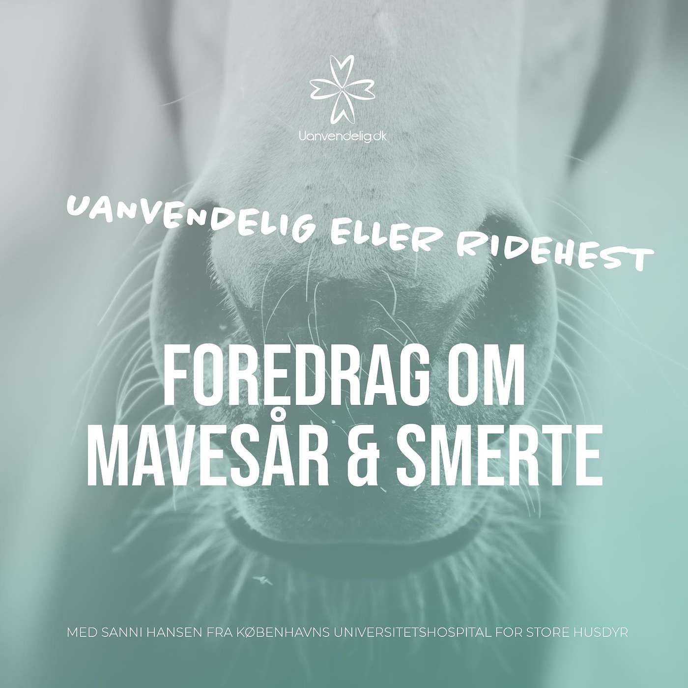 Foredrag om mavesår & Smerte - Med professor Sanni Hansen