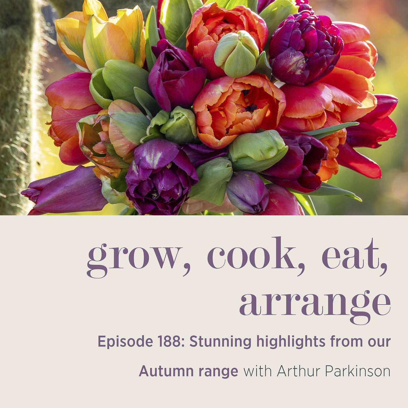 Stunning highlights from our Autumn range with Arthur Parkinson - Episode 188