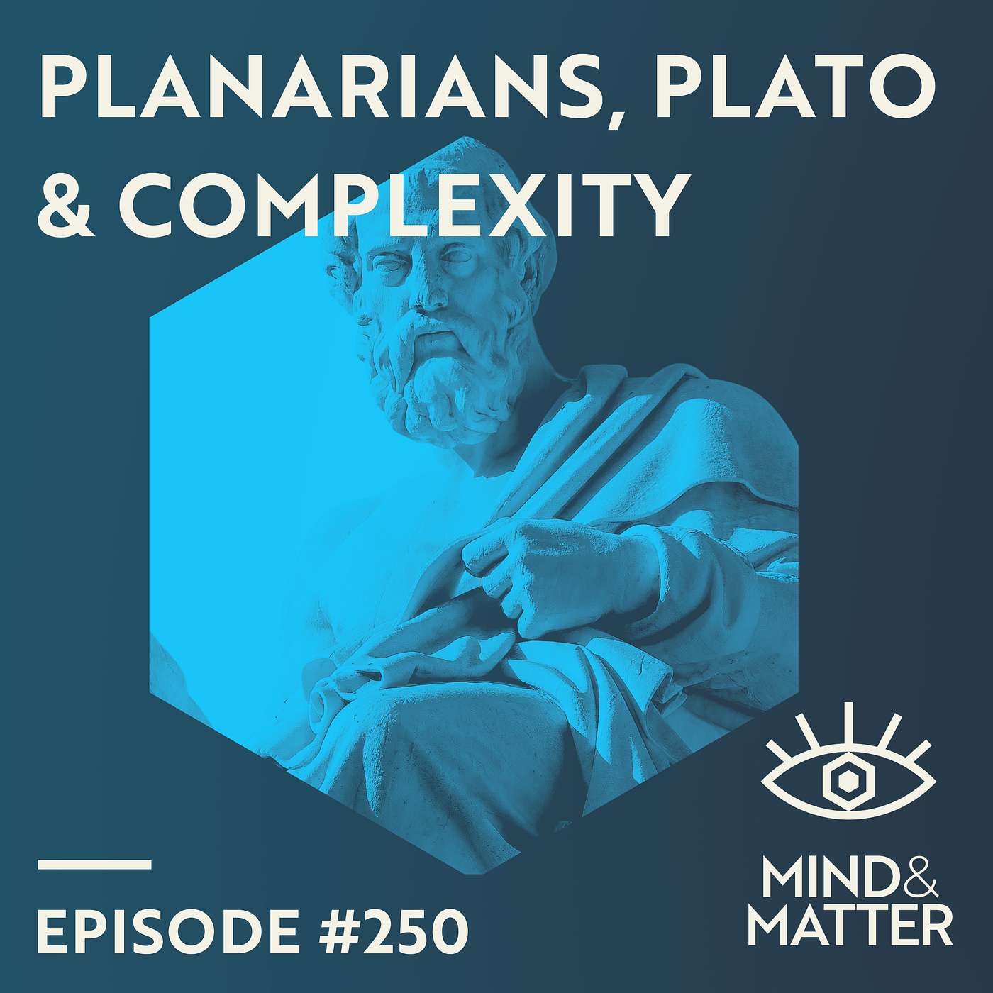 Cognition, Form, Regeneration & Metaphysics: Does Biology Arise From Math? | Michael Levin | 250