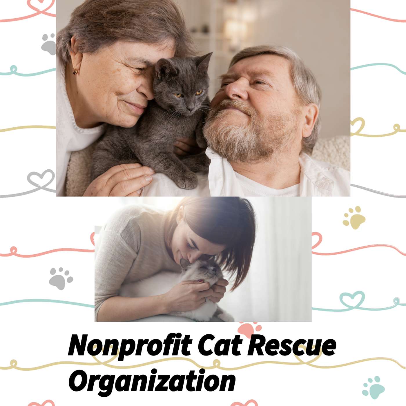 NonProfit Cat Rescue Organization