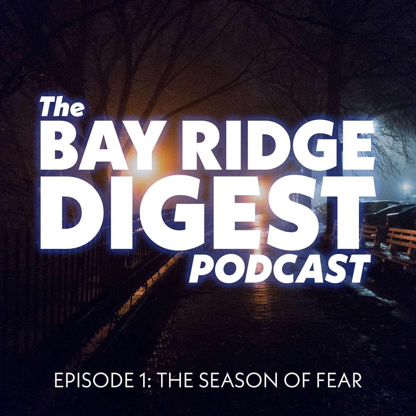 The Bay Ridge Digest