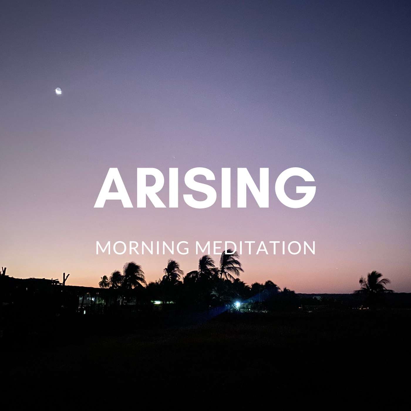 Meditations by Ofer Shani