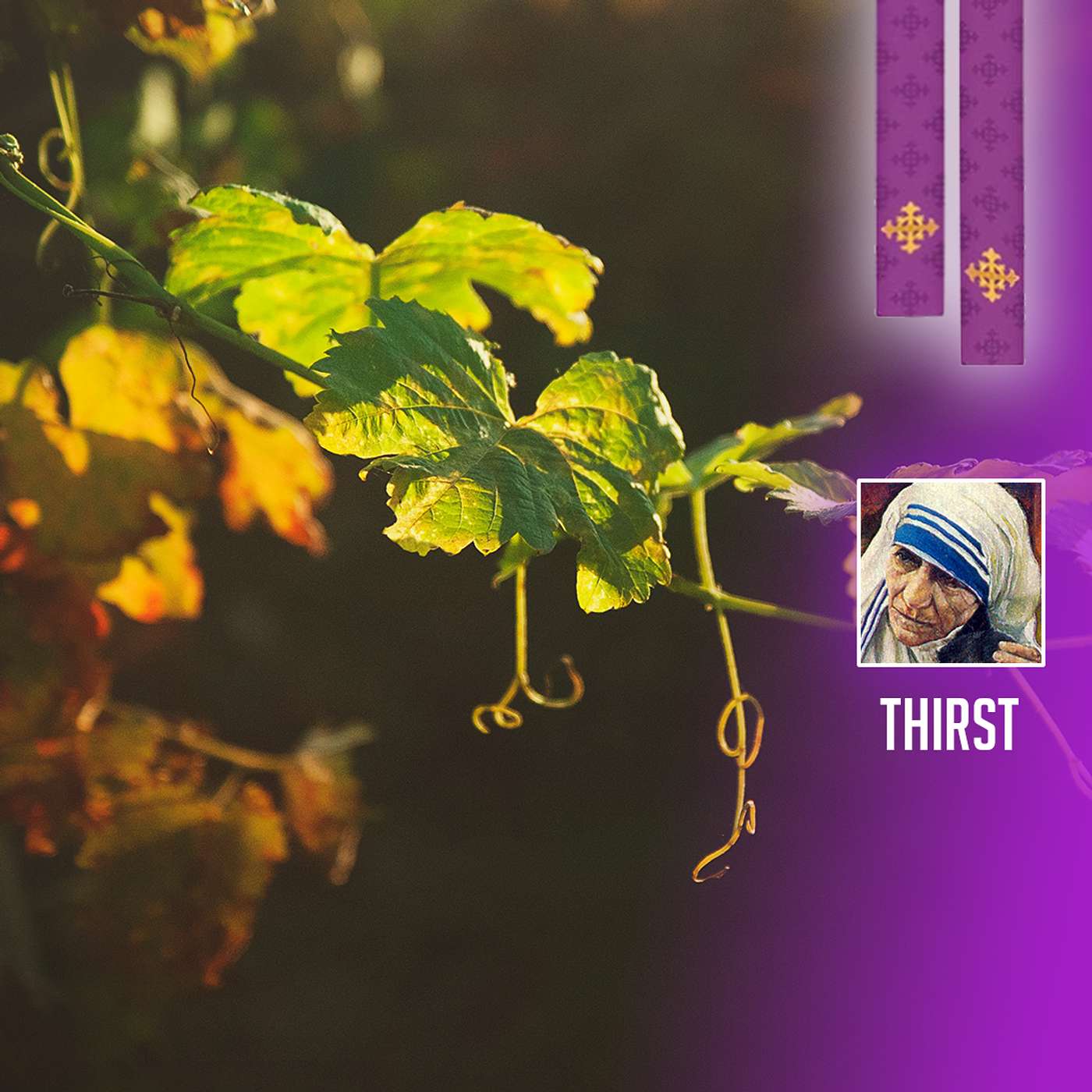 3/11 - You are My Branches 3/11 - You are My Branches