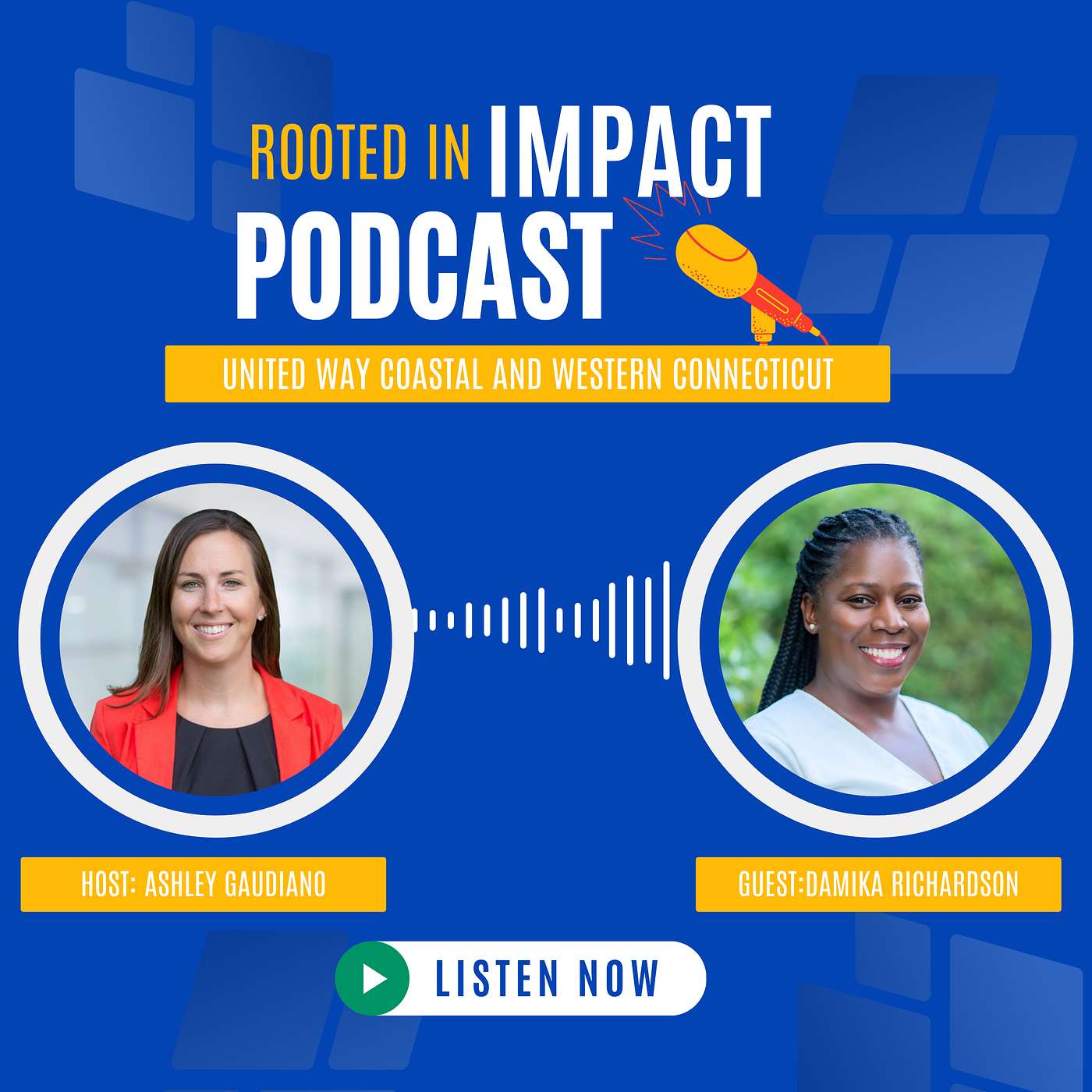 Episode 8: Public Service That Moves the Needle with Damika Richardson episode artwork