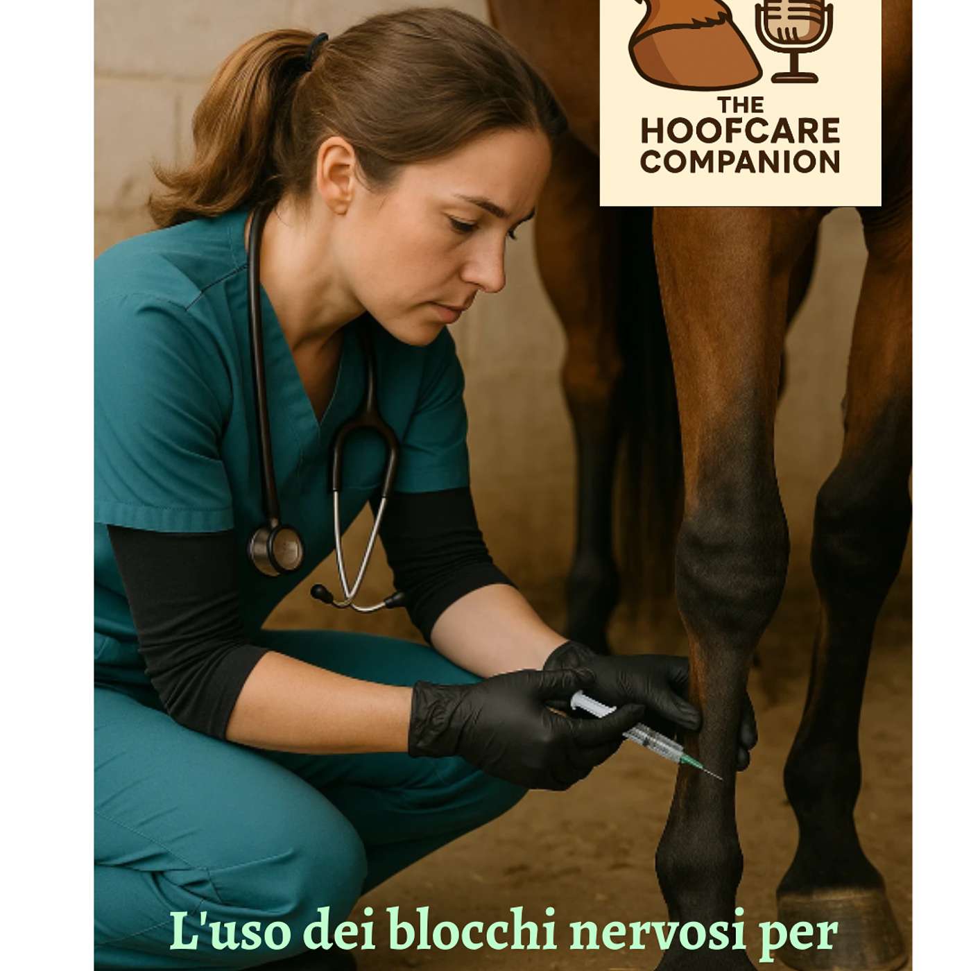 🇮🇹 Episodio 2 L’uso dei blocchi nervosi nel cavallo per identificare la zoppia