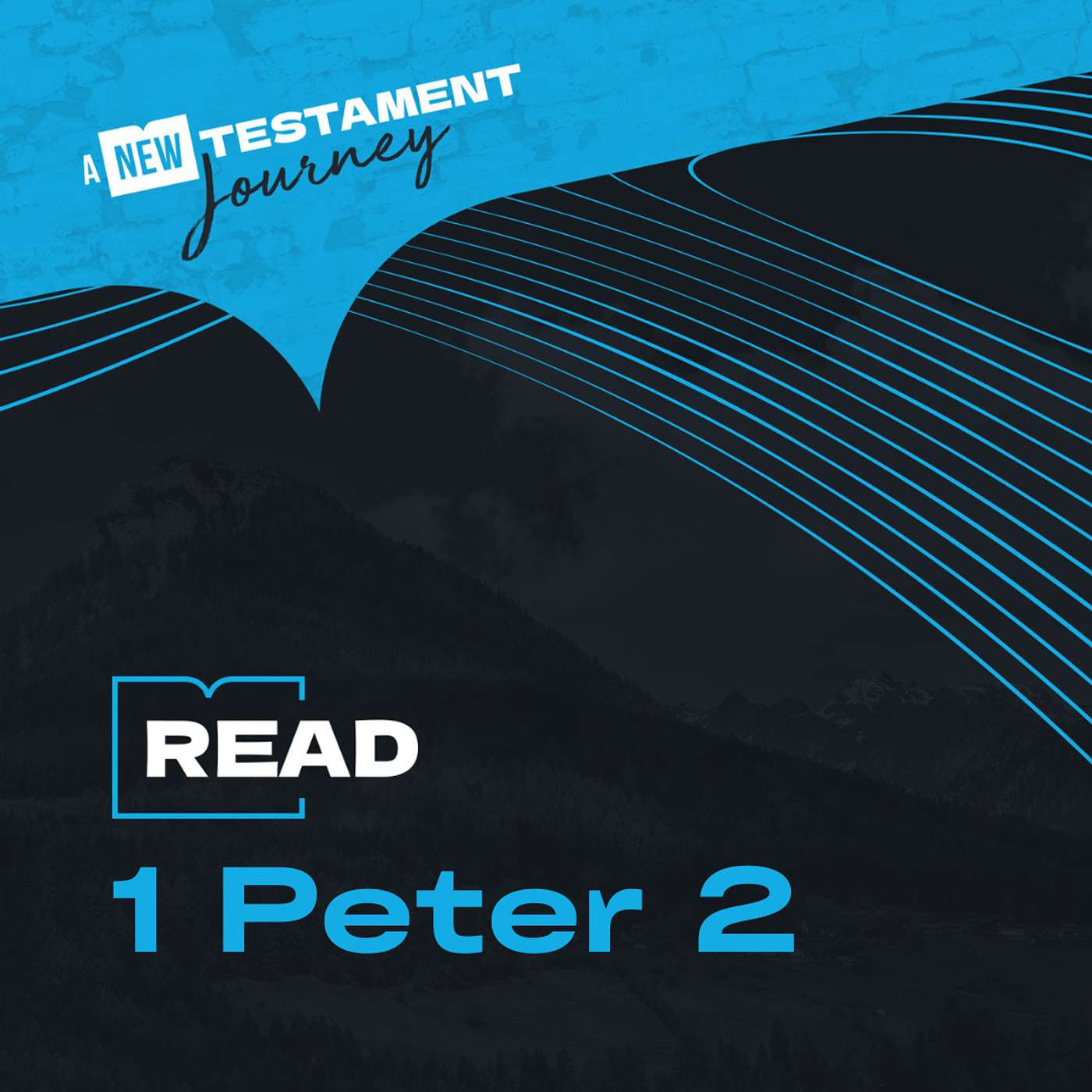 Wednesday 11th October - 1 Peter 2