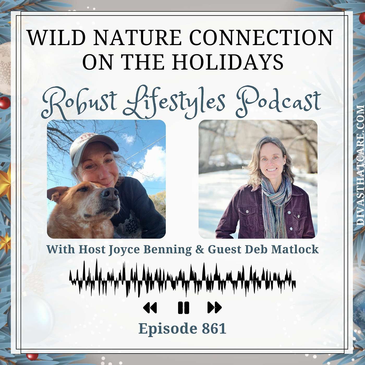Wild Nature Connection on the Holidays episode artwork