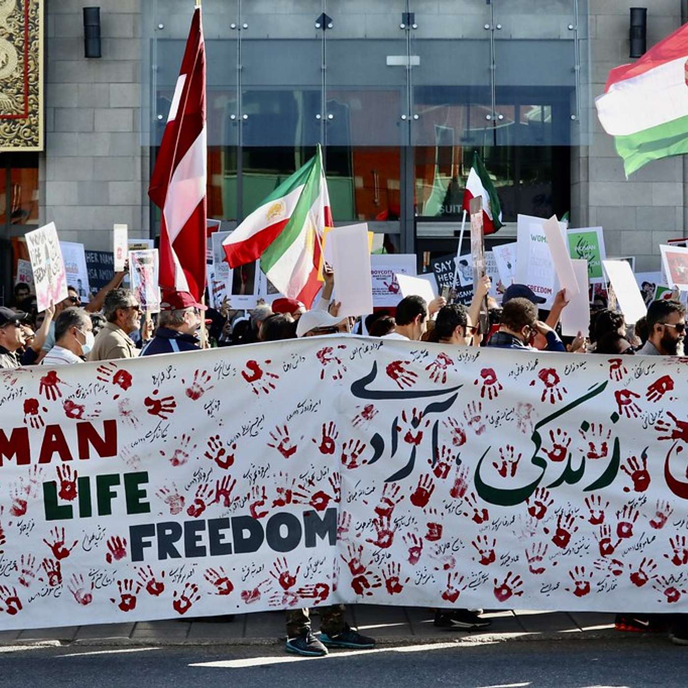 806 - לביאות המפרץ 806 - לביאות המפרץ