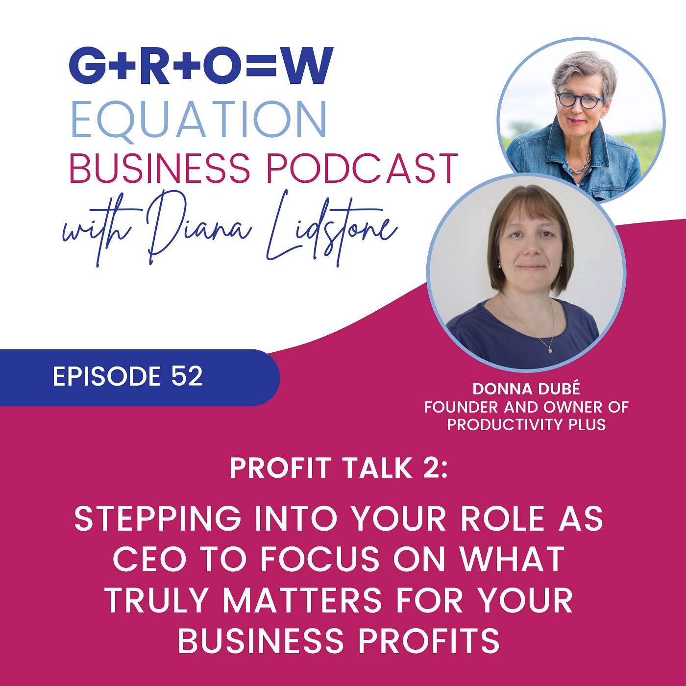 Work Less PROFIT More Business Podcast
