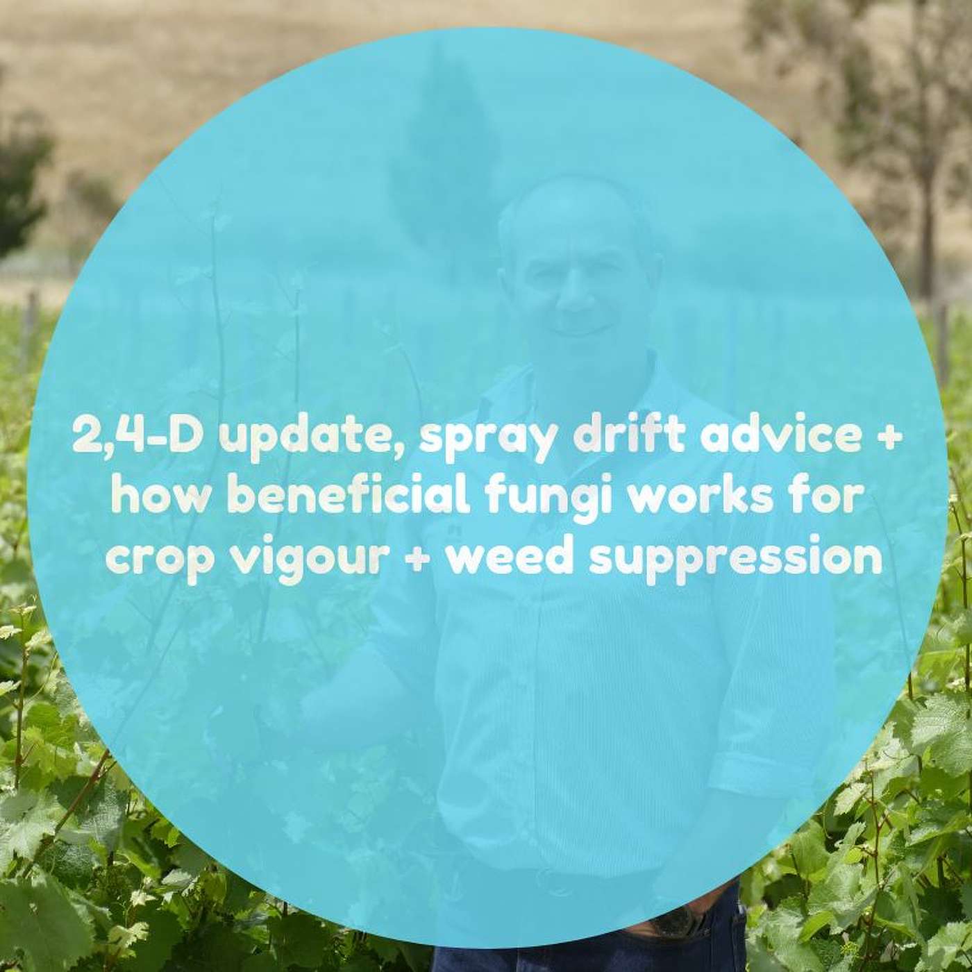 2,4-D update, spray drift advice and how beneficial fungi works to suppress weeds
