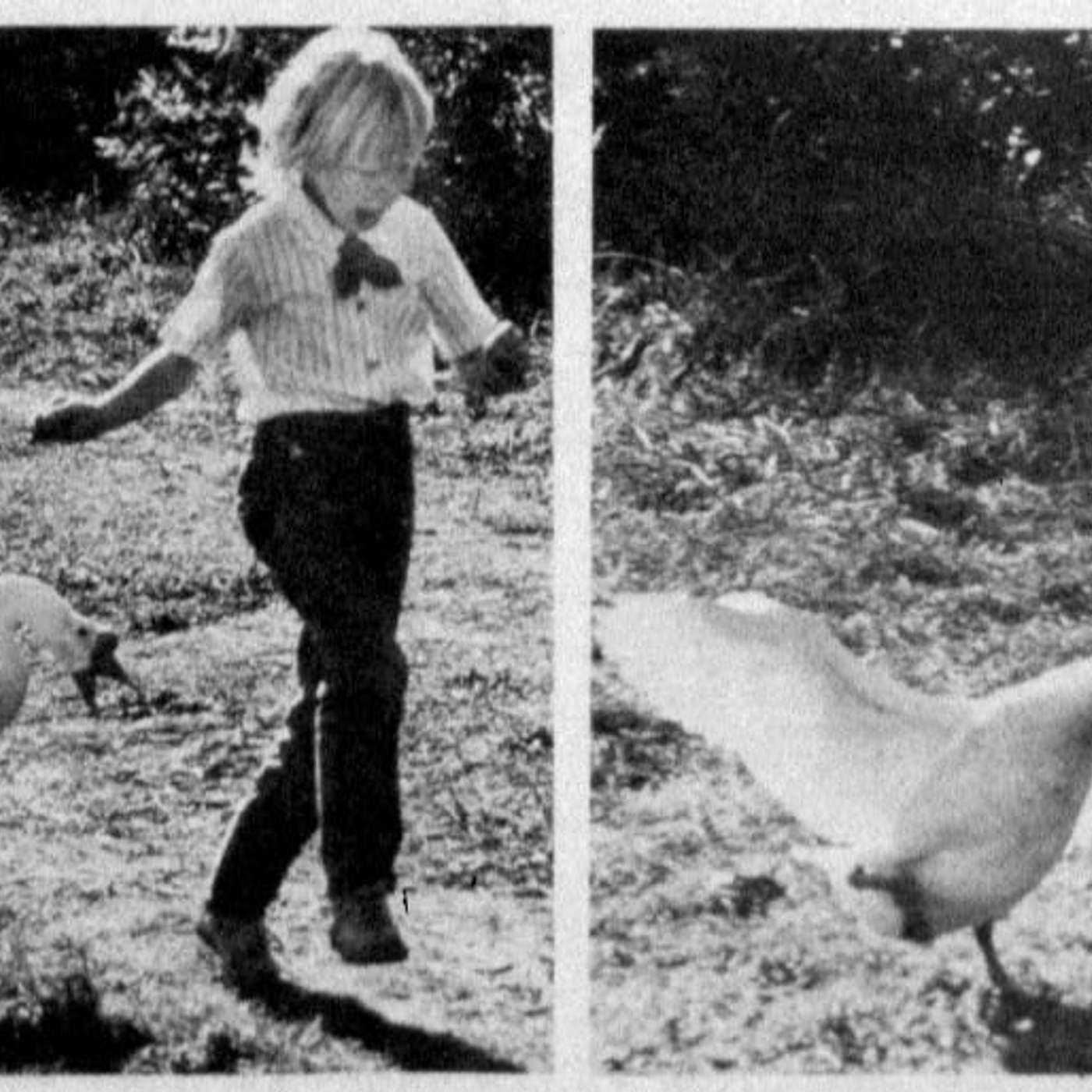 How to Be Less Awkward How to Be Less Awkward