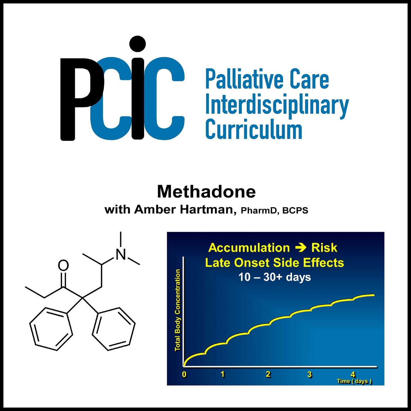Palliative Care Interdisciplinary  Curriculum