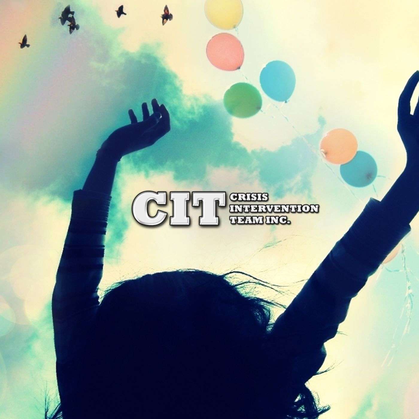Crisis Intervention Team (CIT) Minute