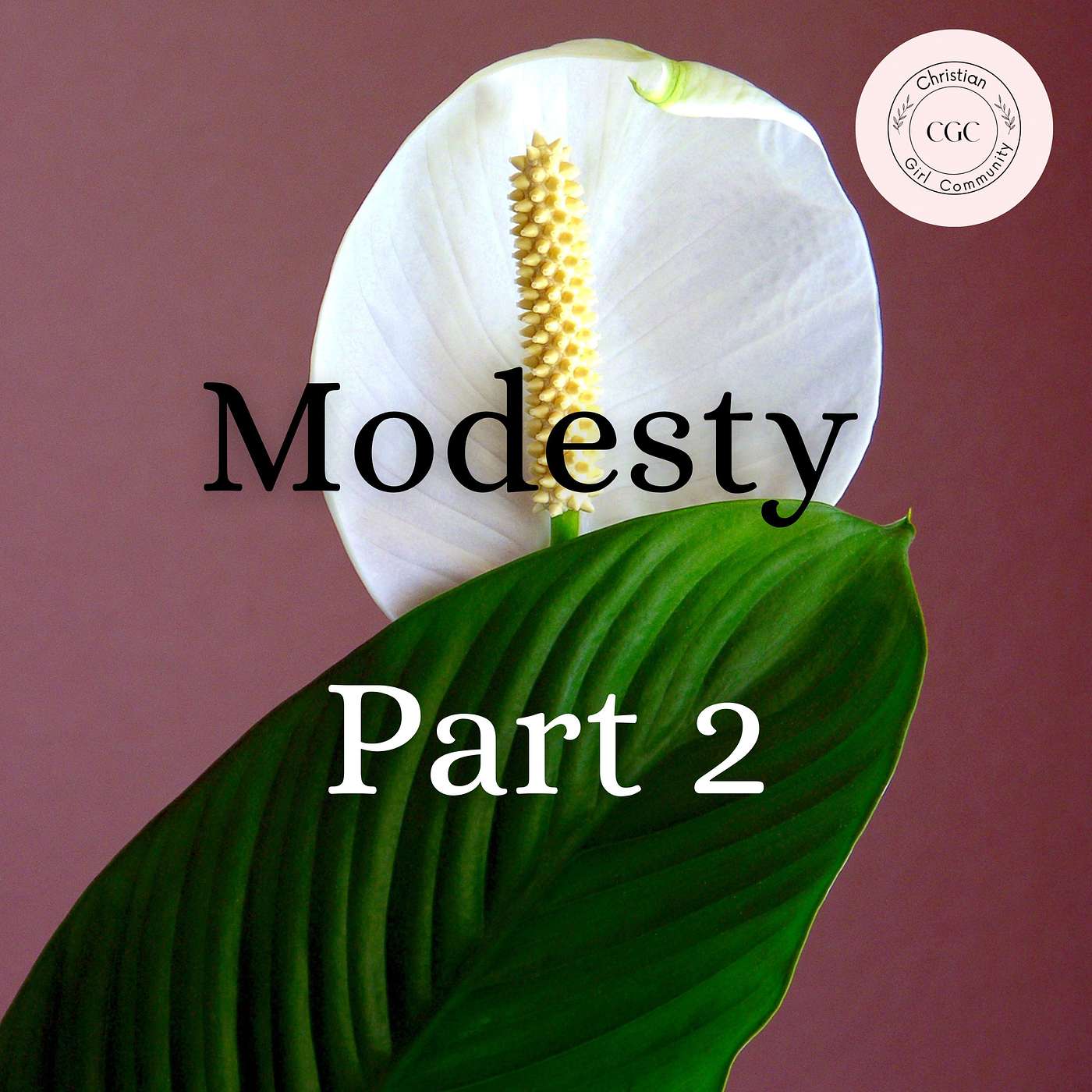 Modesty Part 2 episode artwork