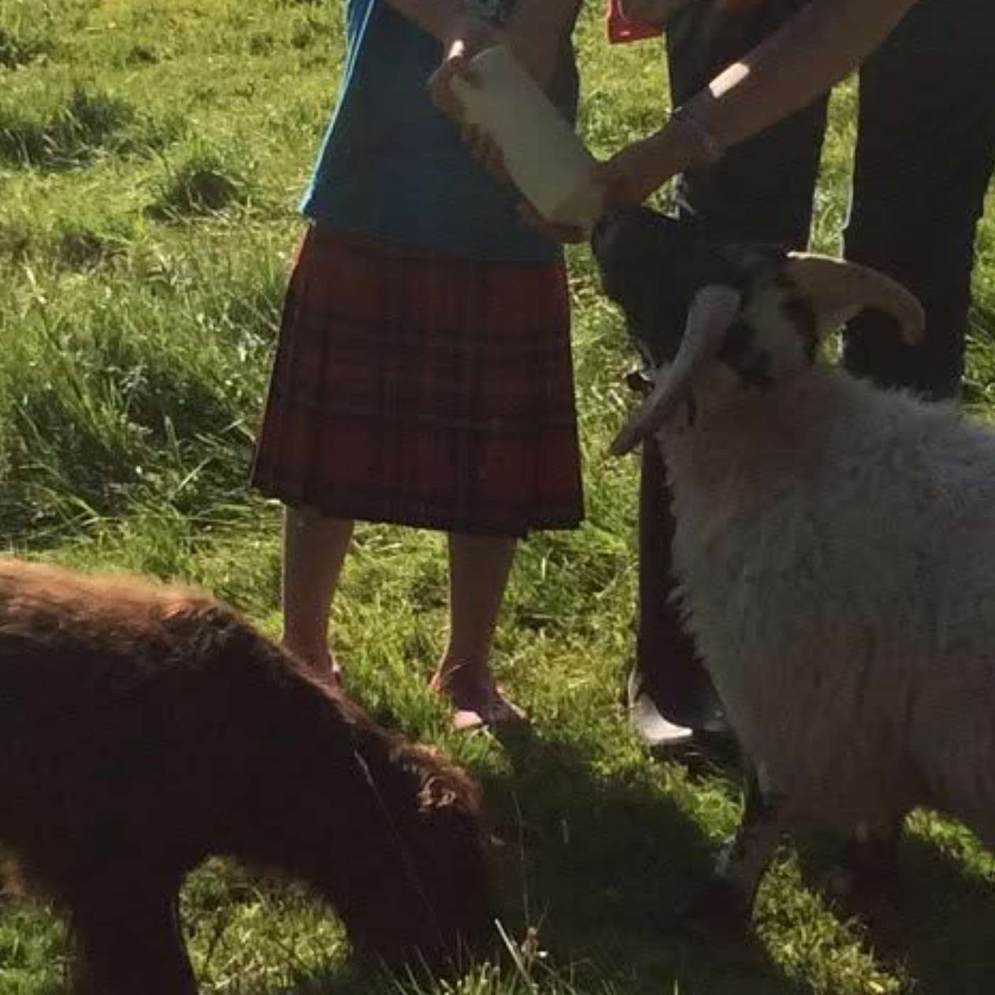 The Mystery of St Thomas A Becket’s Bones Continues; and The Anglo-Saxon Chronicles reaches AD 799