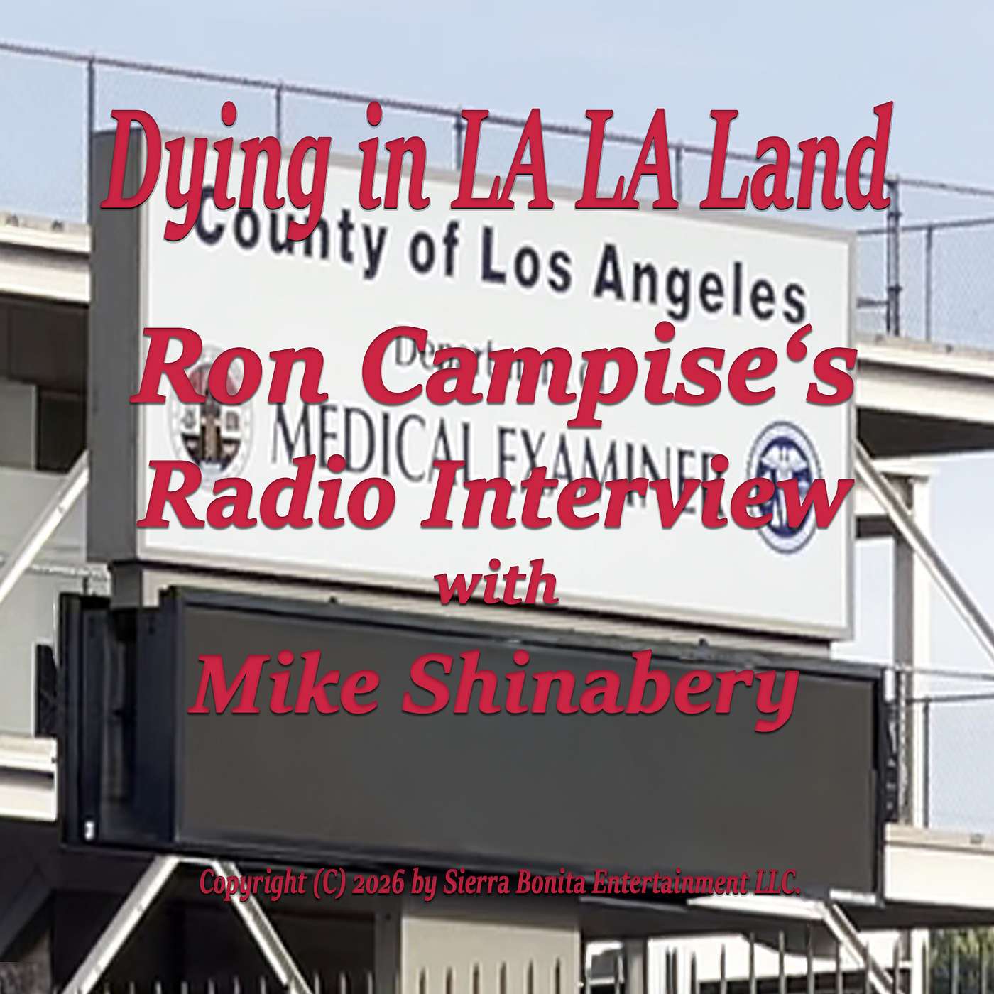 Ron Campise's Radio Interview on Alamo Talk Radio with Mike Shinabery. episode artwork