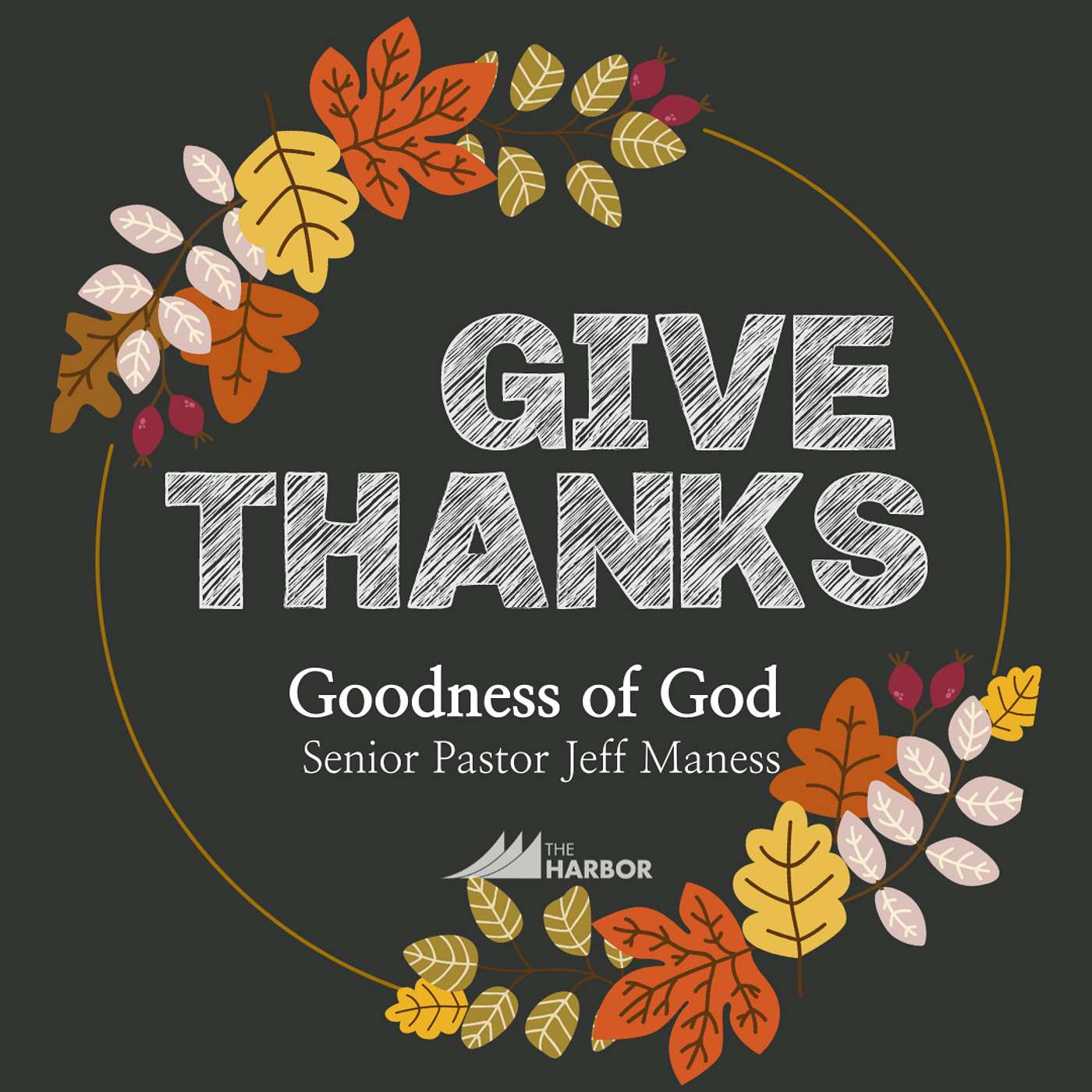 Give Thanks: Goodness of God  -  Jeff Maness