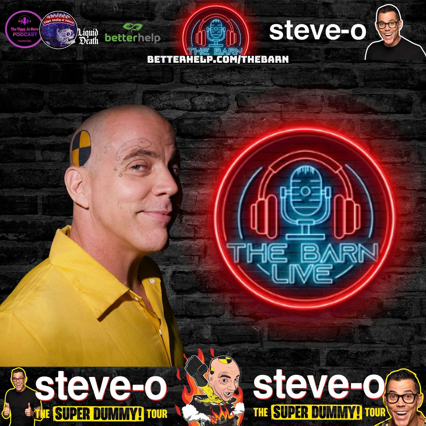 Steve-O Talks Super Dummy Tour, Sobriety, Animal Rescue, & Tom Green | The Barn Podcast Network