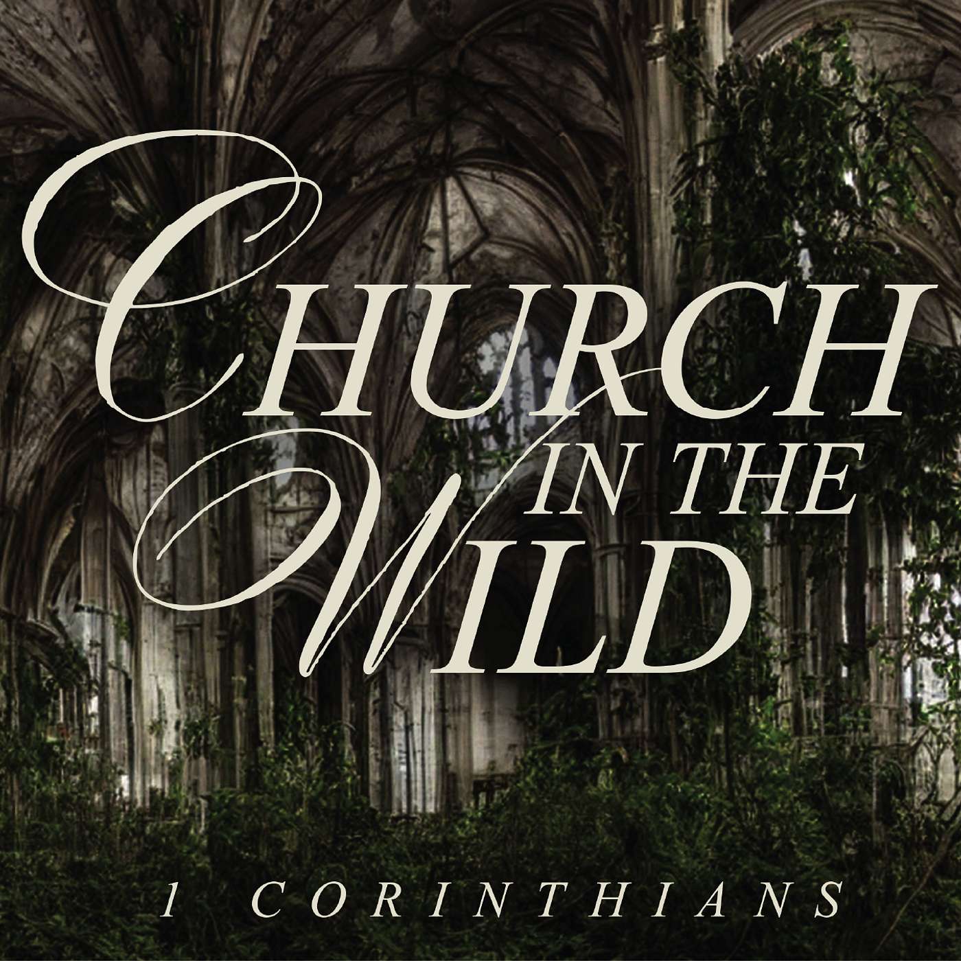 Our Bodily Resurrection | 1 Corinthians 15:29-49 episode artwork