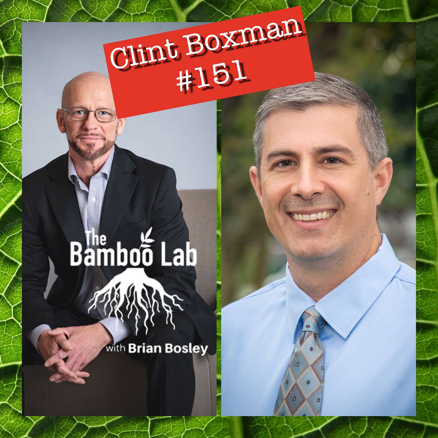The Bamboo Lab Podcast