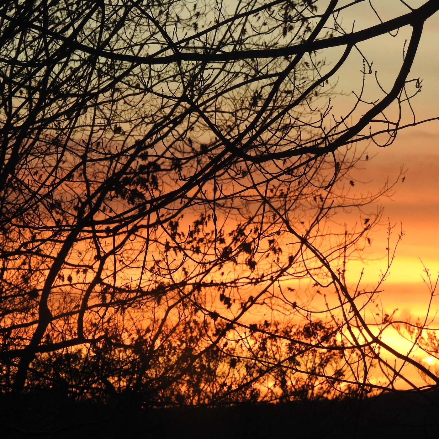 FOLLOWING THE SUNSETS