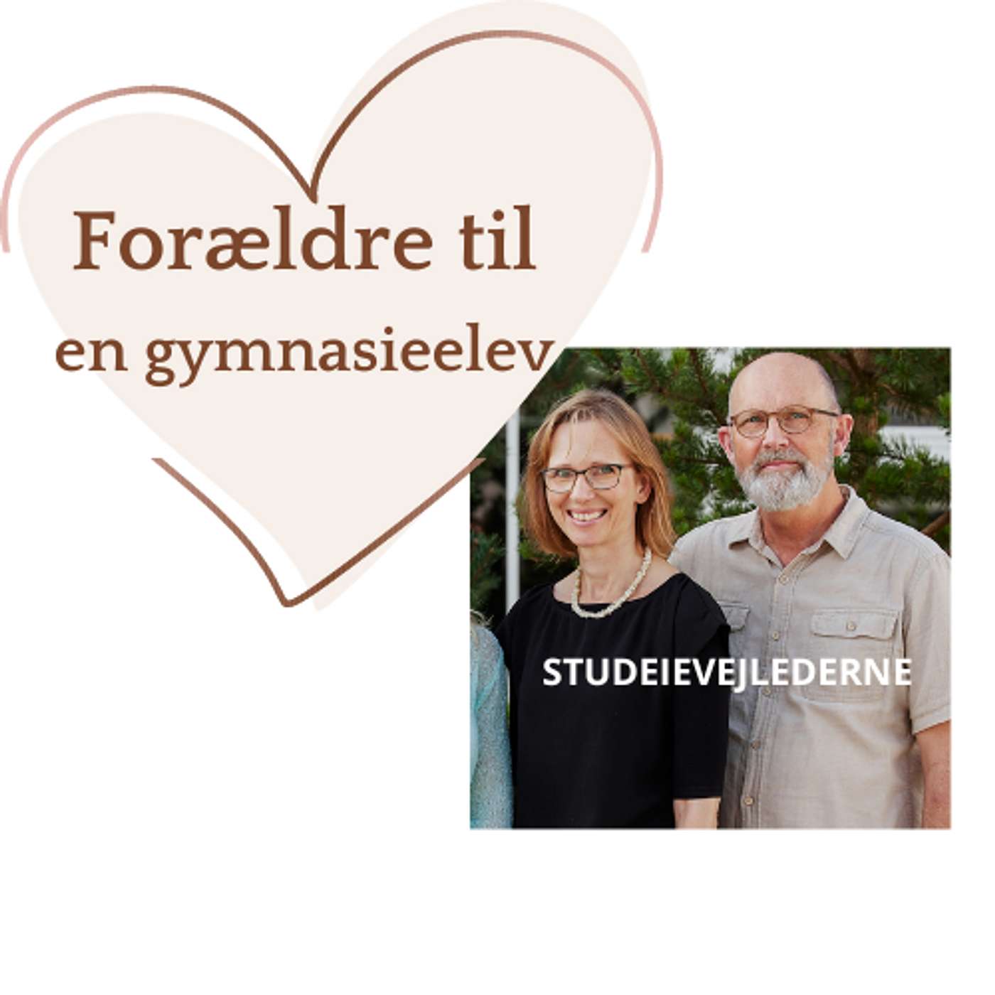 Studievejlederne Studievejlederne