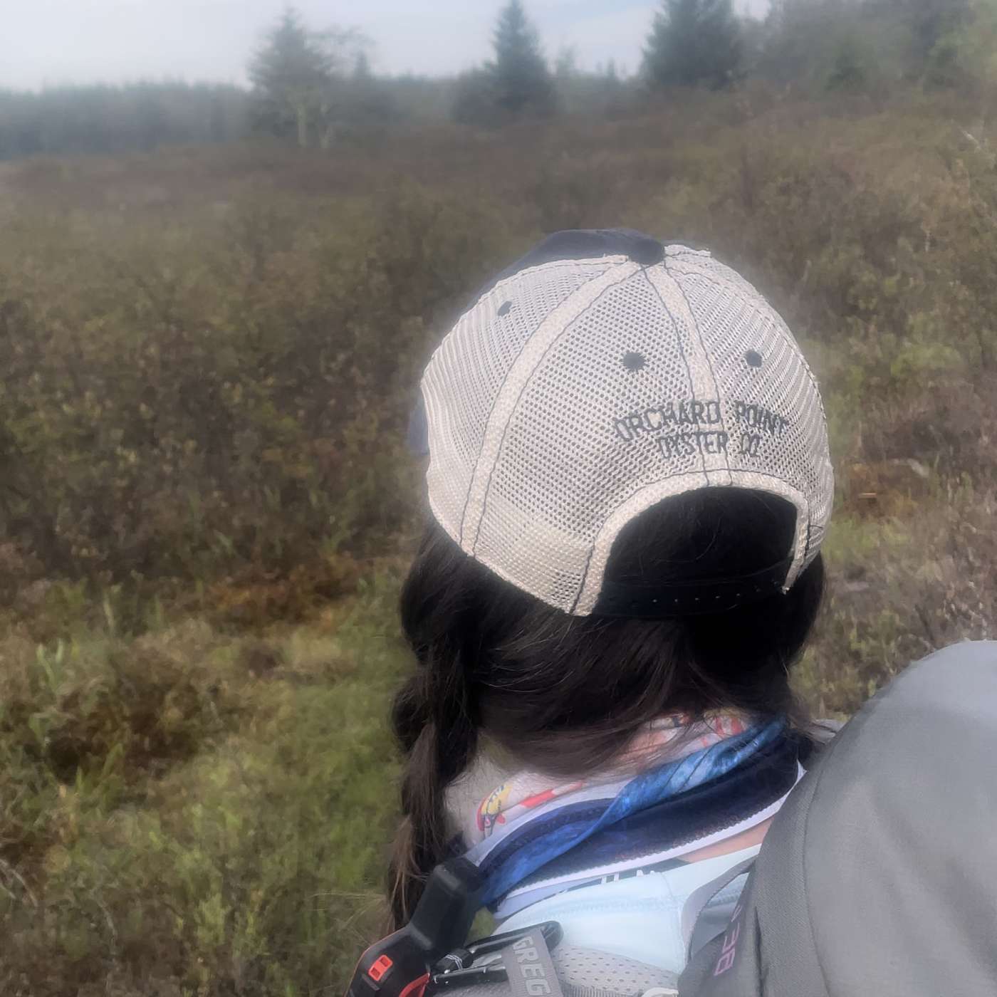 Dolly Sods Wilderness