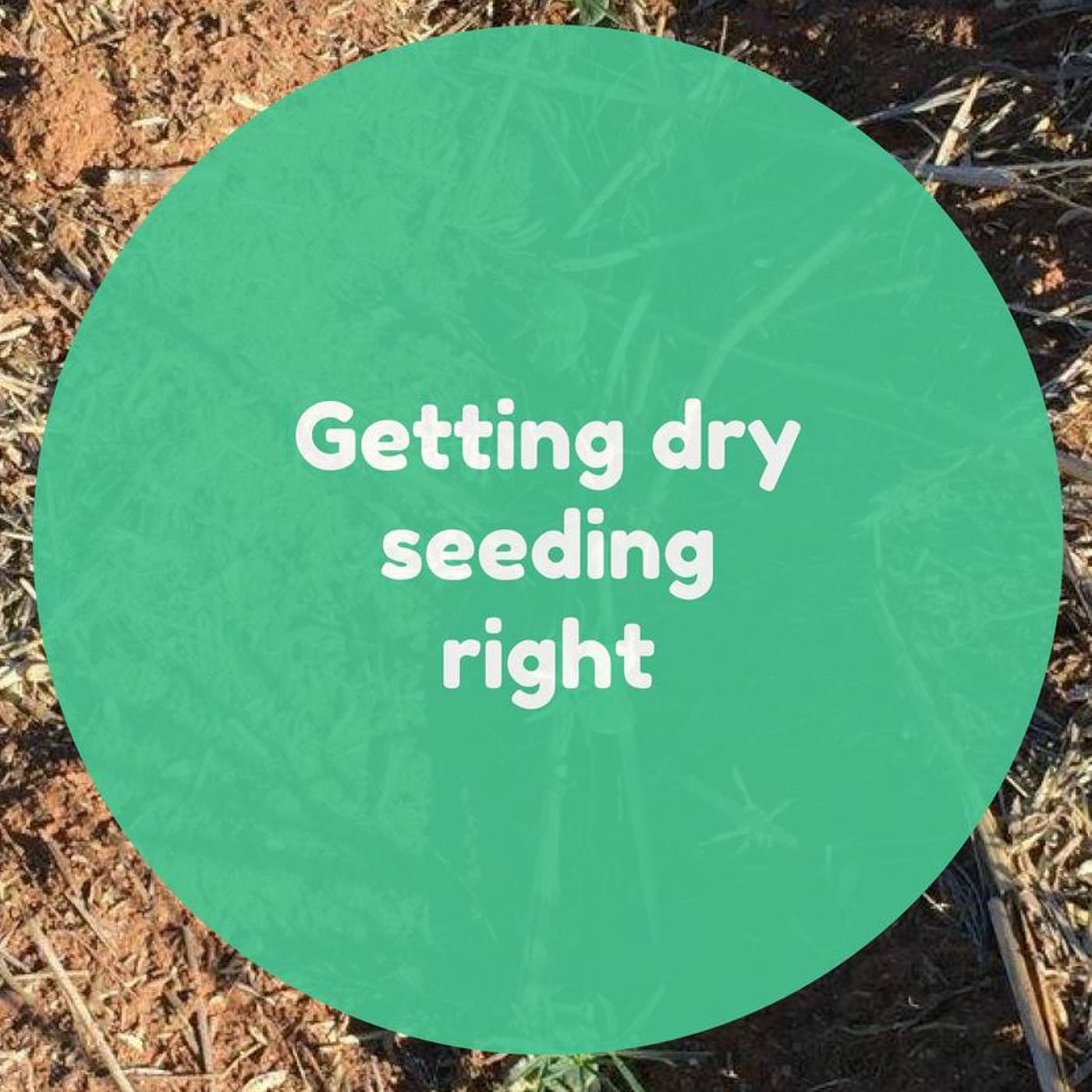 Getting dry seeding right