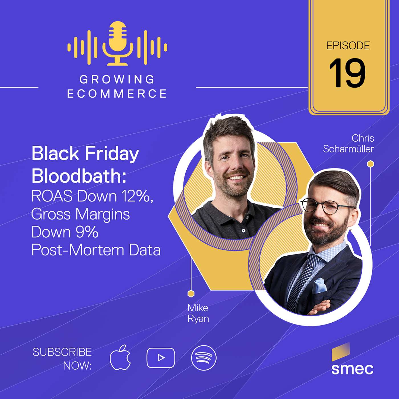 Black Friday Bloodbath: ROAS Down 12%, Gross Margins Down 9% | Post-Mortem Data